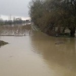 COD ROŞU de inundaţii pe râul Teleorman! Zeci de persoane şi animale s...