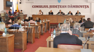 consiliul judetean dambovita 2